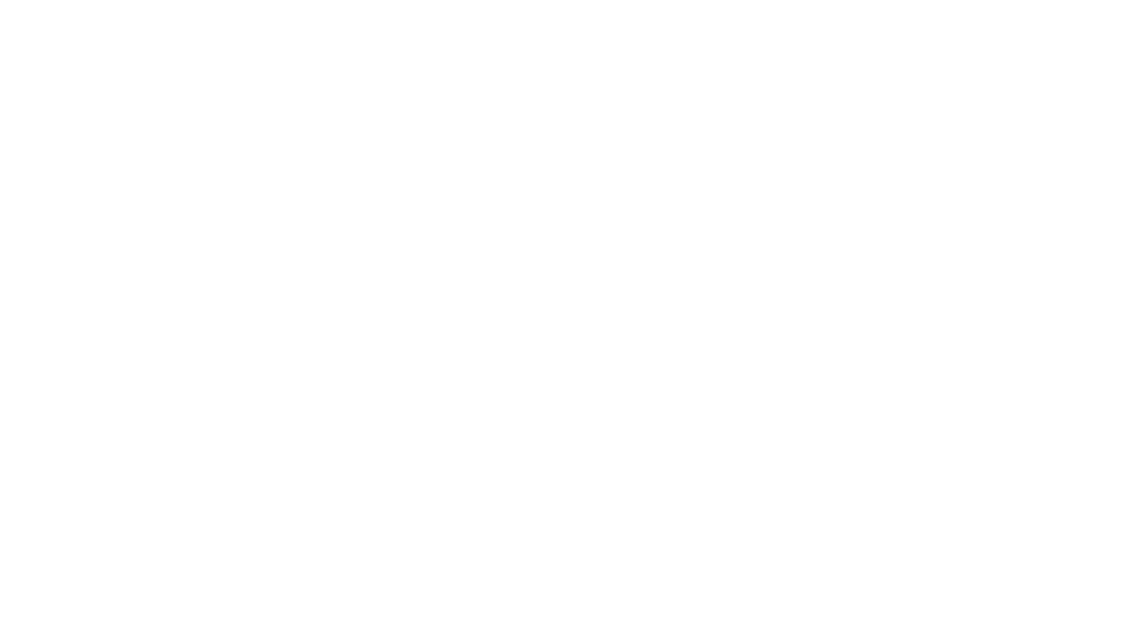 Shay Pasha Solutions